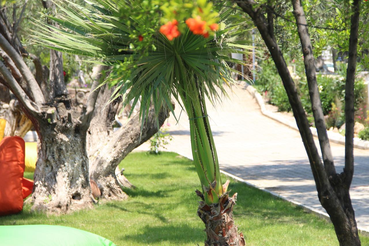 Kayalar Blue Beach Hotel Sazlı 外观 照片