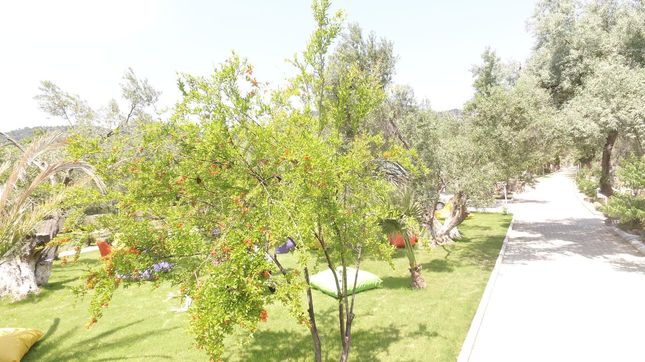 Kayalar Blue Beach Hotel Sazlı 外观 照片