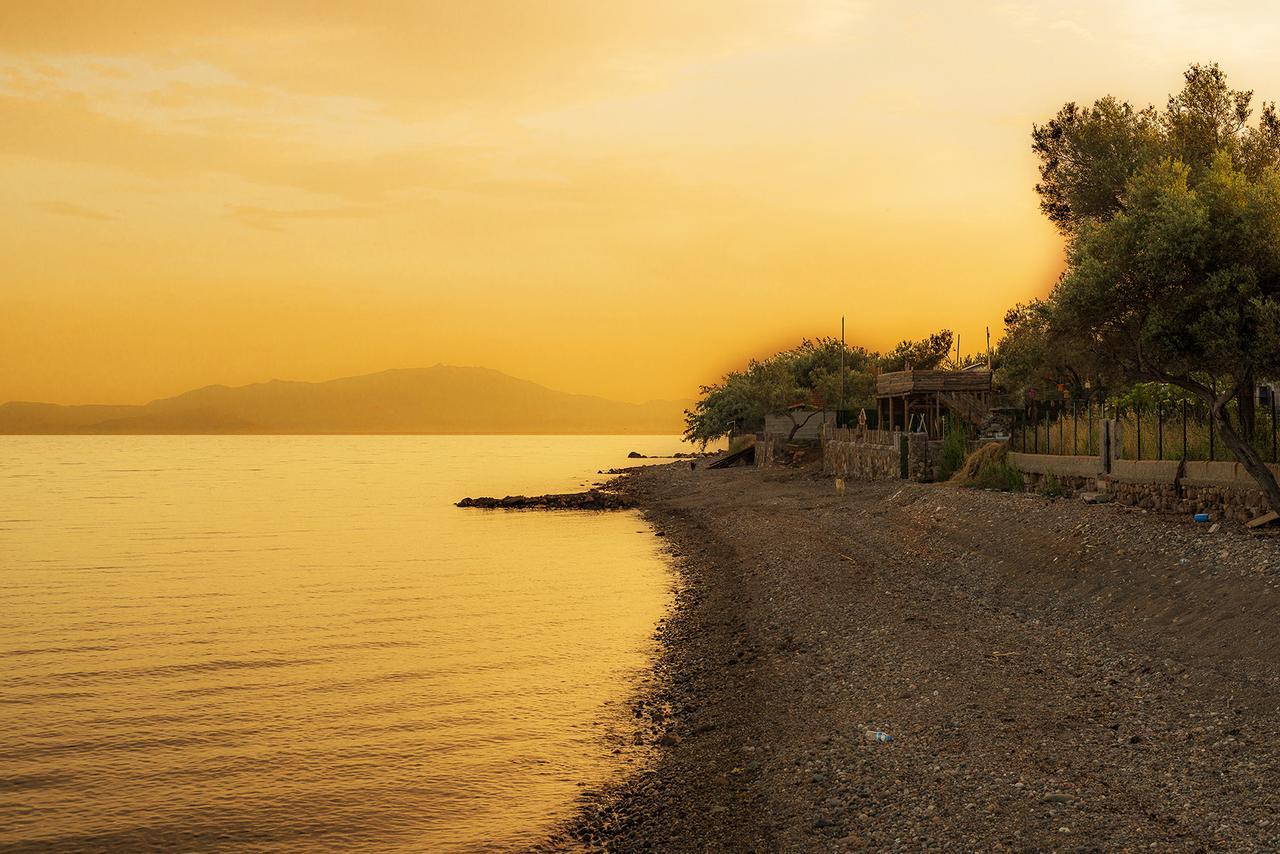 Kayalar Blue Beach Hotel Sazlı 外观 照片