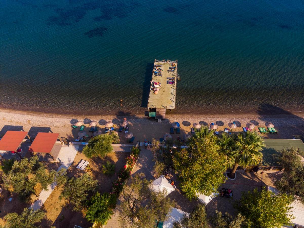 Kayalar Blue Beach Hotel Sazlı 外观 照片